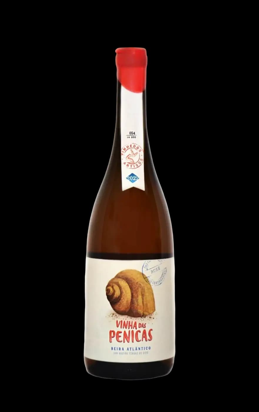 Bottle of Vinha das Penicas Rosé 2024